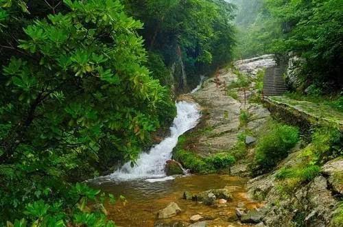 春运客流高位运行 多举措便利旅客出行